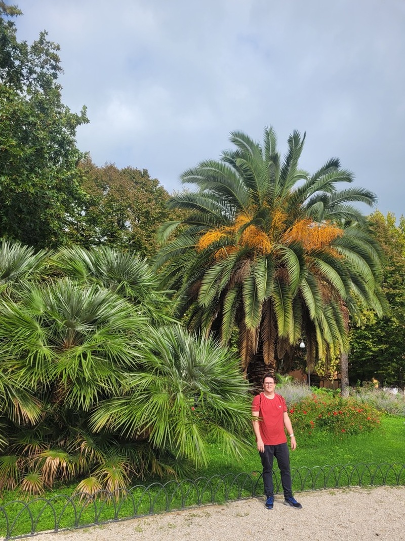 Other image for Help us find Barnsley’s best garden ...
